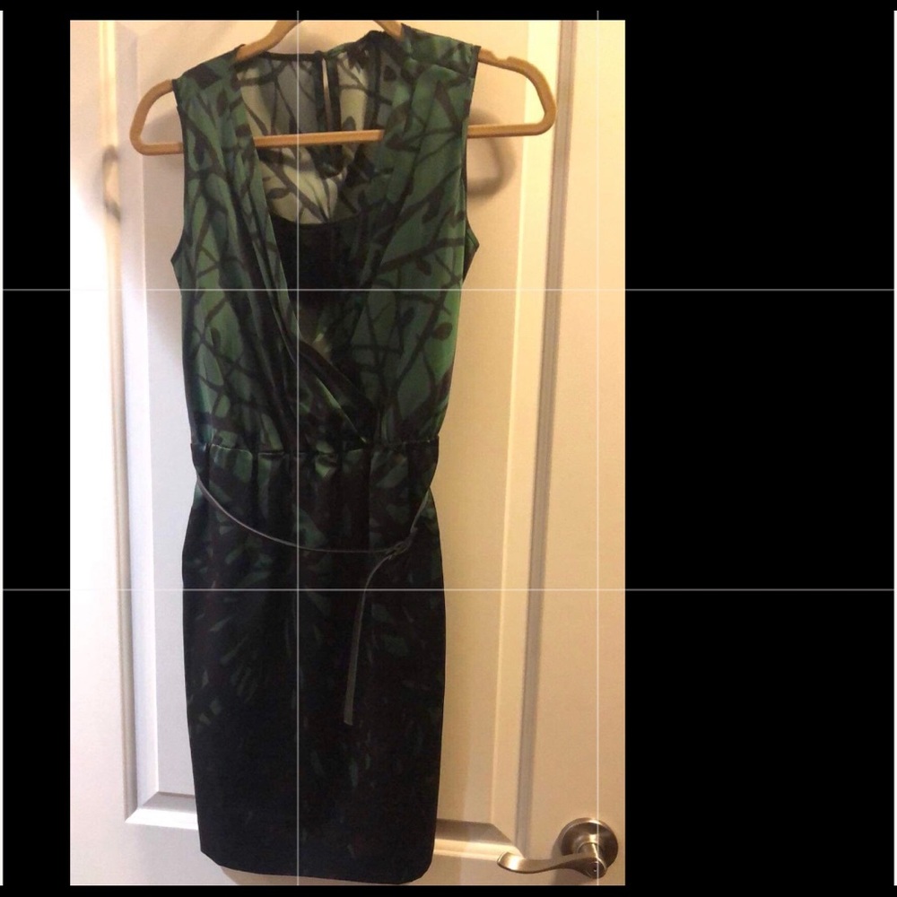 Green and black silk dress from the Limited